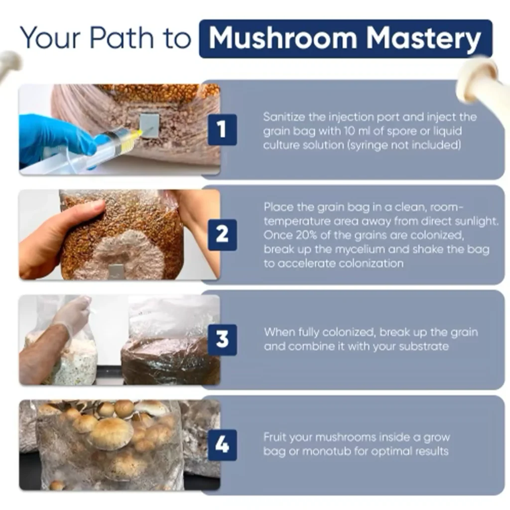 mushroom grow kit instructional