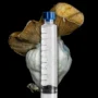 Penis Envy Melmac Mushroom Spores Syringe