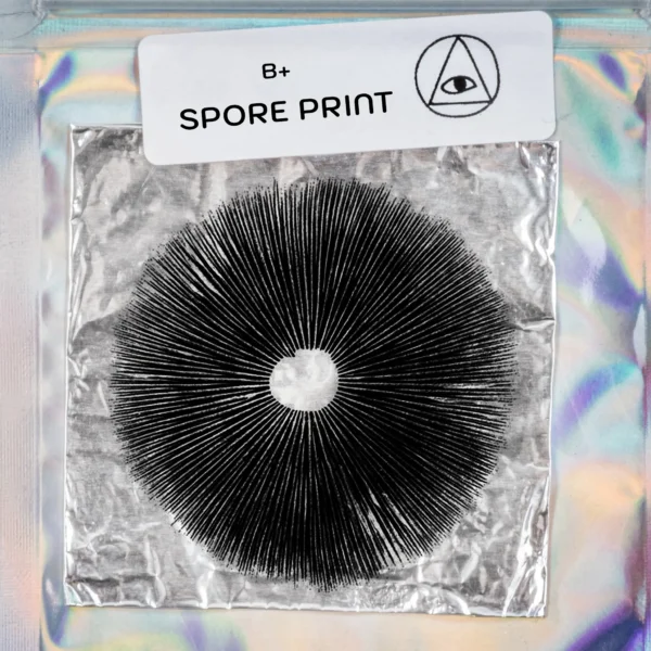 B+ Mushroom Spore Print