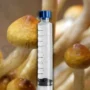 B+ mushroom Spore Syringe