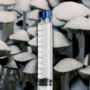 Blue Meanie Mushroom Isolated Spore Syringe