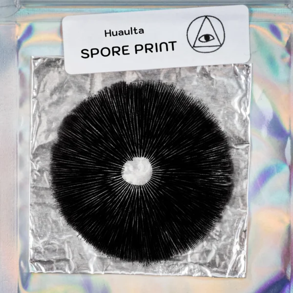Huaulta Mushroom Spore Print