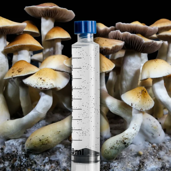 Jedi Mind Fuck Mushroom Spore Syringe