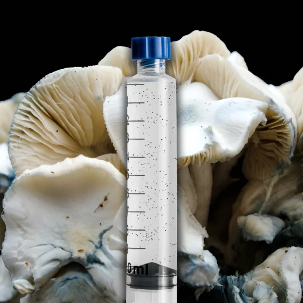 Albino Avery Mushroom Spore Syringe