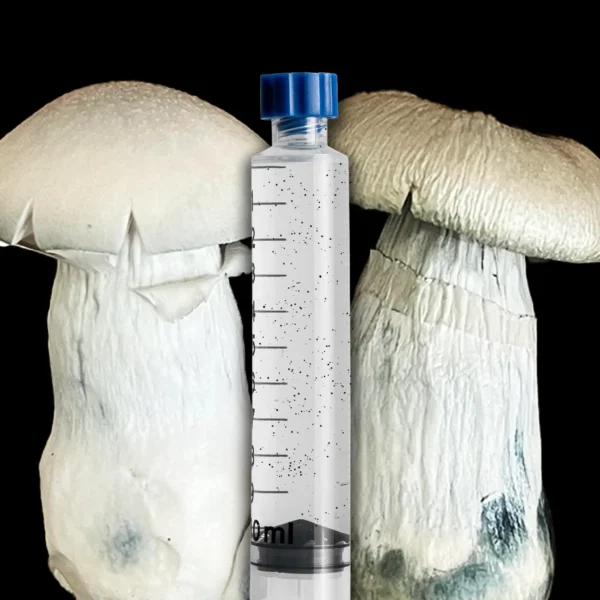 Jack frost Isolated mushroom spore syringe