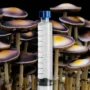 Psilocybe Natalensis Wild Mushroom Spores Syringe