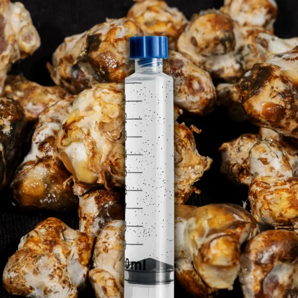 Philosopher's Stone mushroom truffle spore syringe