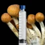 Zico Mushroom Spore Syringe