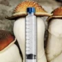 PEU Mushroom Spore Syringe