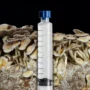 White Golden Teacher Mushroom Spore Syringe