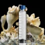 Almond Oyster Mushroom syringe