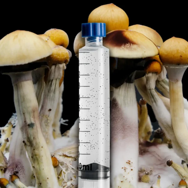 Full Moon Party Mushroom Spore Syringe