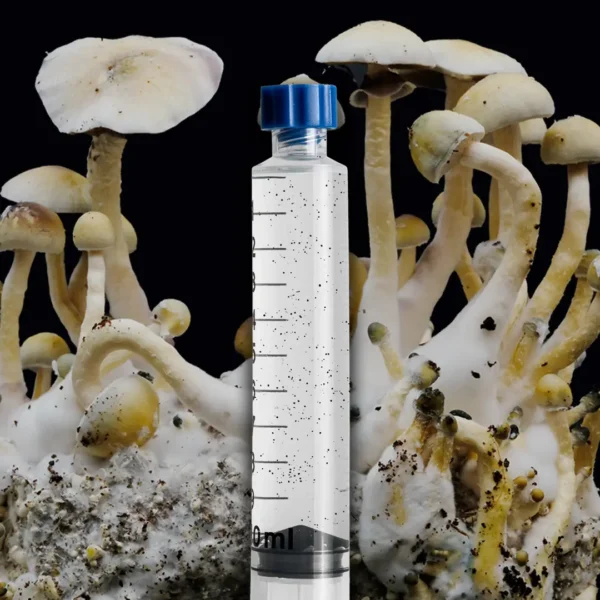 Leucistic Treasure Coast Mushroom Spore Syringe