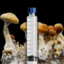 Matias Romero Mushroom Spore Syringe