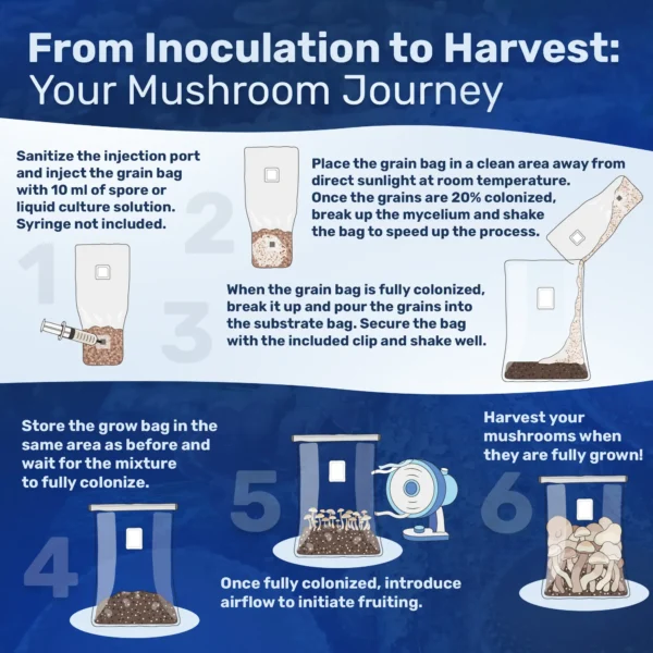 Substate growing instructions