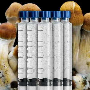 Tidal Wave mushroom spore syringe