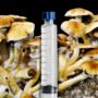 Z-Strain mushroom spore syringe