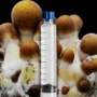 ODPE Mushroom Syringe