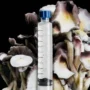 APE Revert Mushroom Spore Syringe