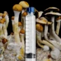 Amazon Mushroom Spore Syringe