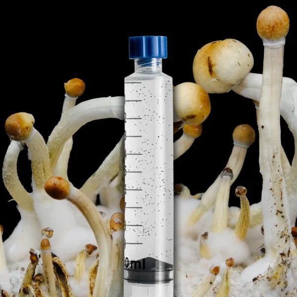 E4k Mushroom Spore Syringe developed by Willy Myco