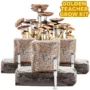 golden teacher mushroom grow kit