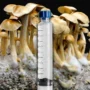 Golden Halo Mushroom Isolated Spore Syringe