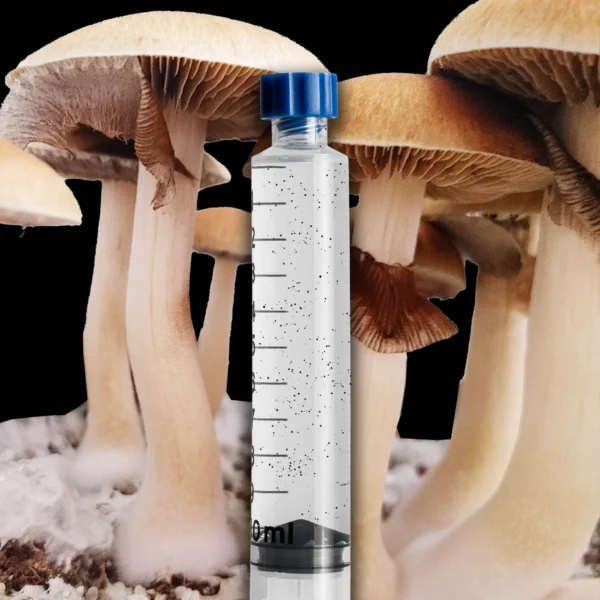 Golden Halo Mushroom Spore Syringe