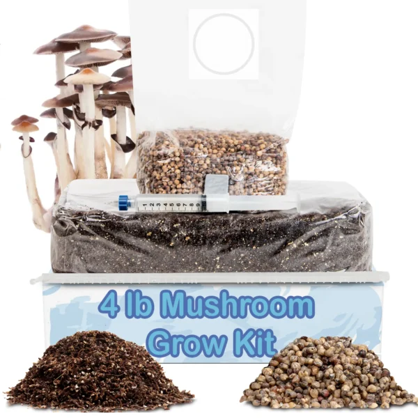 Mushroom Grow Kit - 4 lb
