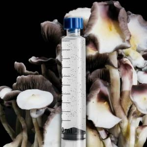 An Albino Penis Envy Revert (APE-R) mushroom fully developed, displaying a distinct leucistic mushroom with creamy white caps and dark purple-brown spores radiating outwards.