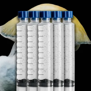 Bluey Vuitton Spore Syringe - 5 Pack Saver