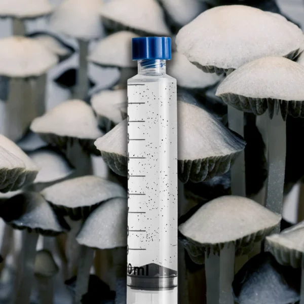 Blue Meanie Spore Syringe - Cubensis - Image 3