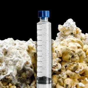 Enigma Mushroom Spore Syringe