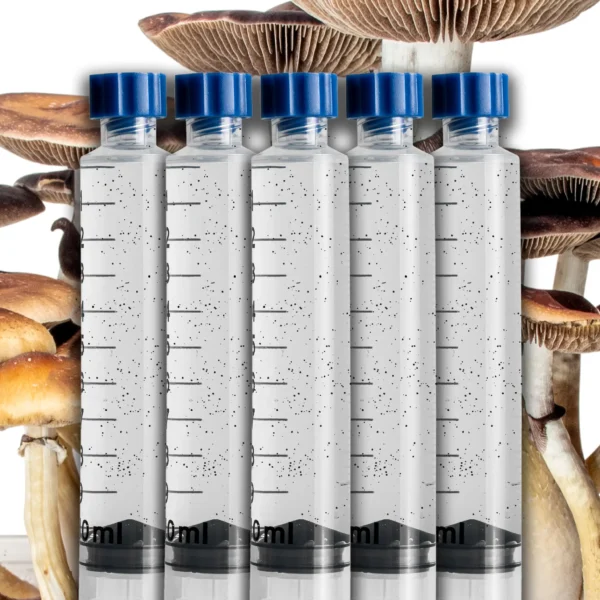 Golden Teacher Spore Syringe Pack of 5
