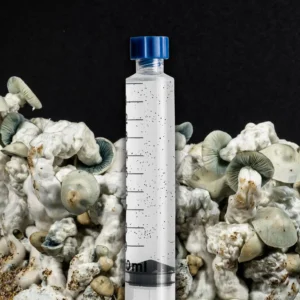 Ghost True Albino Teacher Spore Syringe