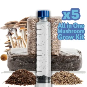 Mycology Grow Kit Bundle x5