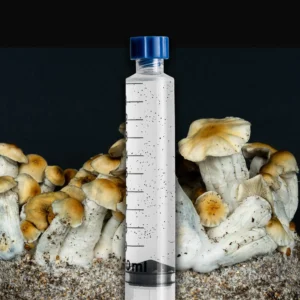 Hillbilly Mushroom Spore Syringe