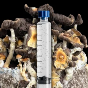 Koh Samui Isolated Spore Syringe