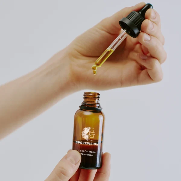 Lion's Mane Extract For Focus, Memory, & Mind Clarity - Image 2