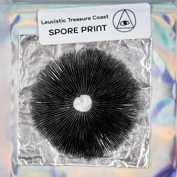 Leucistic Treasure Coast Print - Image 2