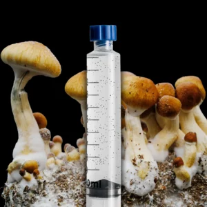 Matias Romero Spore Syringe