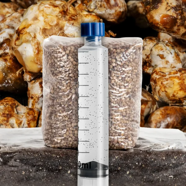 Magic Truffle Grow Kit