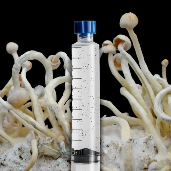 Natalensis Spore Syringe - Image 7