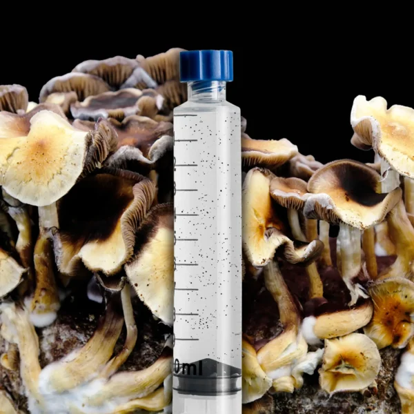 Purple Mystic Spore Syringe