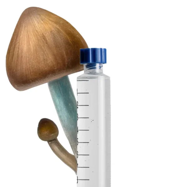 4 Pack Bundle Isolated Mushroom Spore Syringe - Image 13