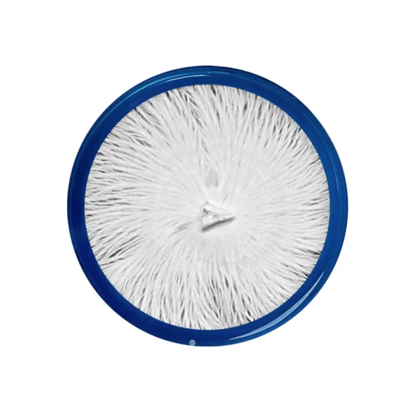 Lions Mane HE 120  (Hericium erinaceus) - Image 2