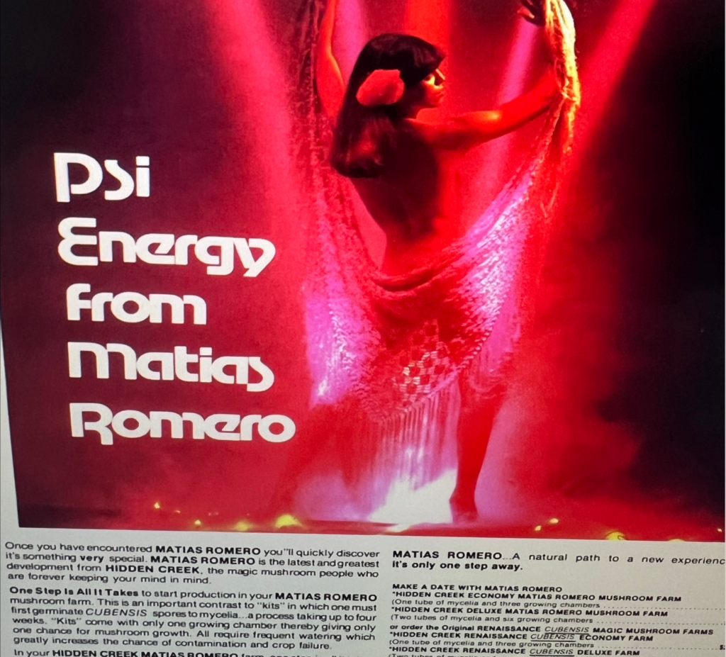 Matias Romero Mushroom Article