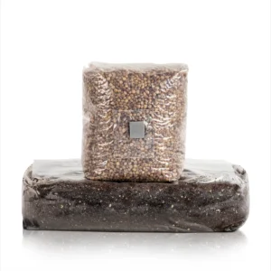 mushroom grow kit material