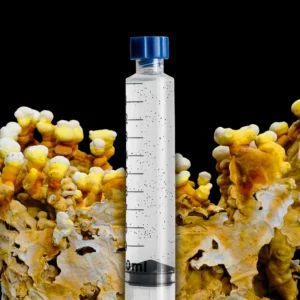 Tiger Reishi Spore Liquid Culture