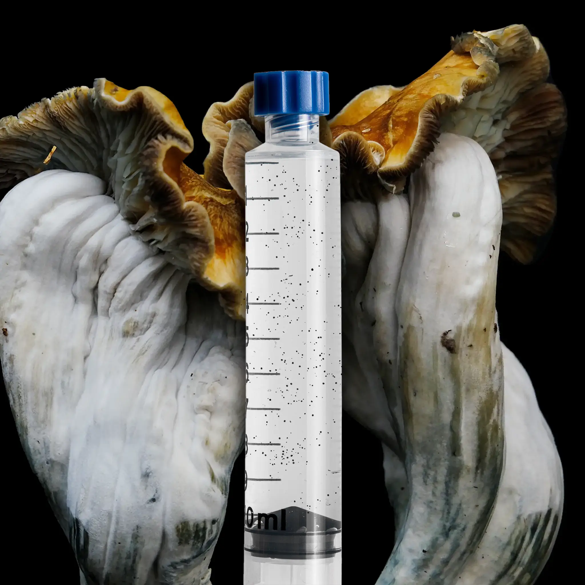 Tidal Wave isolated Syringe